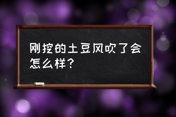 北京土豆脱皮机不伤果蔬 刚挖的土豆风吹了会怎么样？