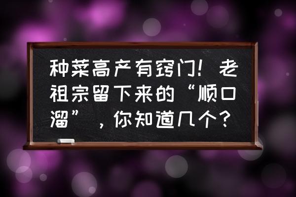 种菜不知道的小技巧 种菜高产有窍门！老祖宗留下来的“顺口溜”，你知道几个？