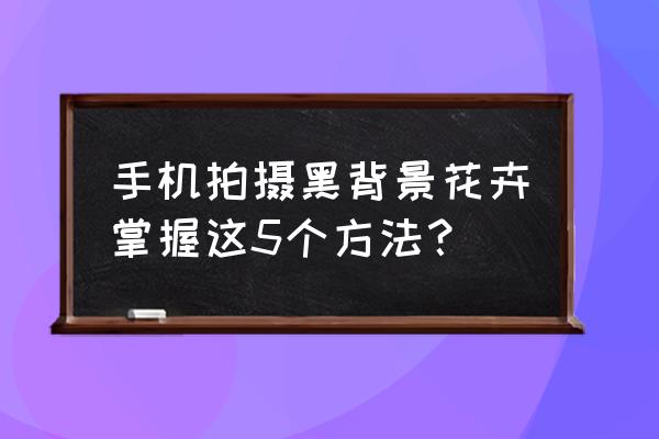 墙面拍摄技巧和方法 手机拍摄黑背景花卉掌握这5个方法？