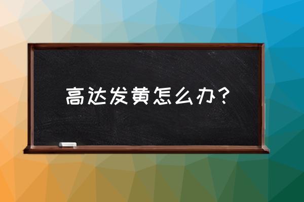 高达改色喷漆教程 高达发黄怎么办？