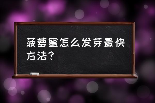 菠萝蜜发芽之后怎么种植 菠萝蜜怎么发芽最快方法？