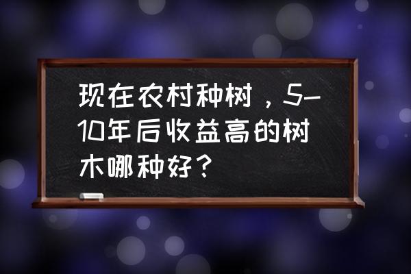 种植什么水果稳定赚钱 现在农村种树，5-10年后收益高的树木哪种好？