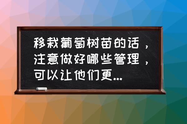 刚买回来的葡萄苗如何种植 移栽葡萄树苗的话，注意做好哪些管理，可以让他们更好的成活？