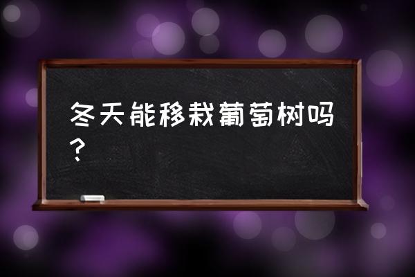 葡萄可以冷冻保存到冬天吃吗 冬天能移栽葡萄树吗？