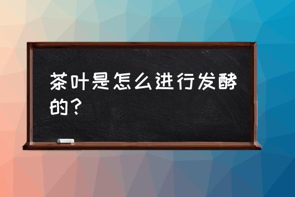 种花茶的正确方法 茶叶是怎么进行发酵的？