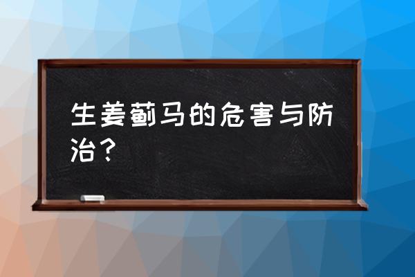 西瓜小苗叶子发黄卷叶是怎么回事 生姜蓟马的危害与防治？