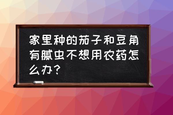 豆角上的蚂蚁和小腻虫怎么治 家里种的茄子和豆角有腻虫不想用农药怎么办？