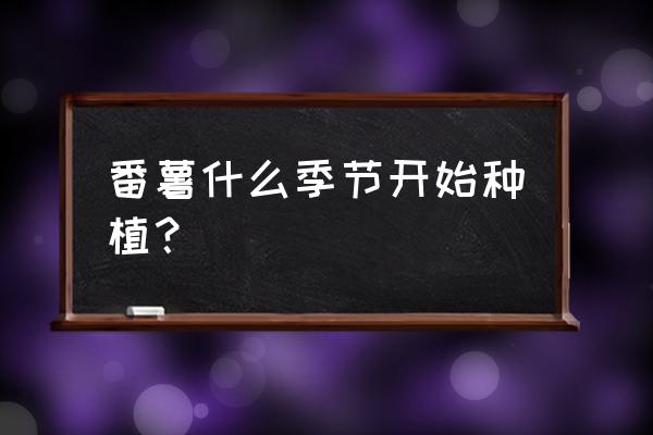 四川话栽秧子啥意思 番薯什么季节开始种植？