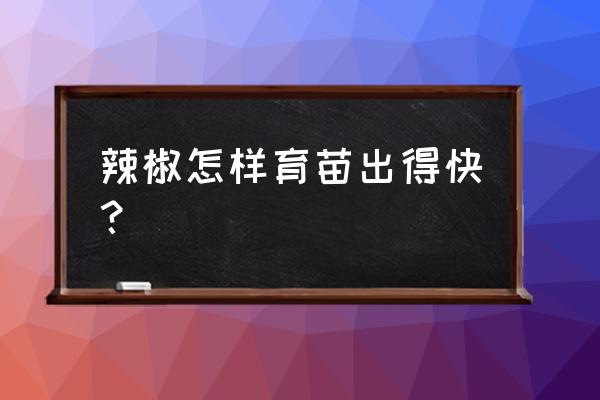 辣椒育苗方法步骤 辣椒怎样育苗出得快？