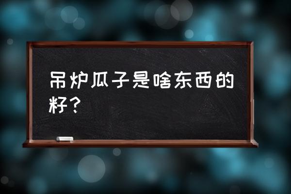 吊瓜子适合在哪里种植 吊炉瓜子是啥东西的籽？