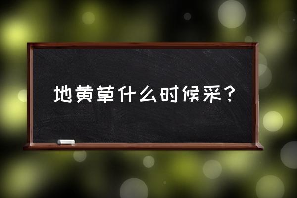 毛地黄种子怎么种植 地黄草什么时候采？