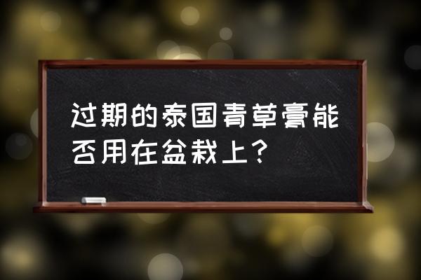 泰国青草药膏三个月宝宝可以用吗 过期的泰国青草膏能否用在盆栽上？