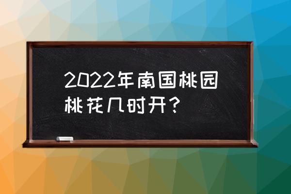 南国桃园晚上去哪个位置好 2022年南国桃园桃花几时开？