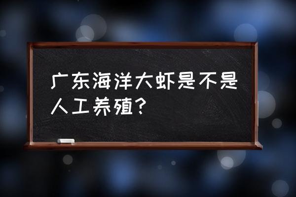 海边抓的小虾怎么养活 广东海洋大虾是不是人工养殖？