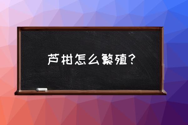 常用的嫁接繁殖方法 芦柑怎么繁殖？