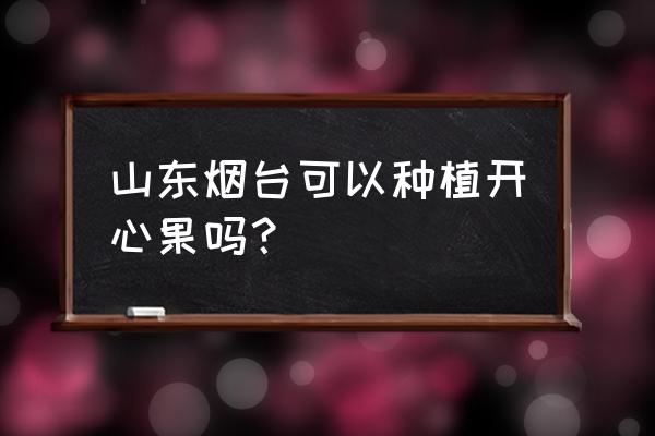 开心果是怎么制作出来的 山东烟台可以种植开心果吗？