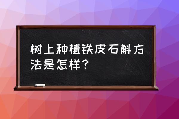 铁皮石斛种植技术哪里学的 树上种植铁皮石斛方法是怎样？