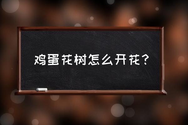 盆栽蛋黄果的正确方法 鸡蛋花树怎么开花？