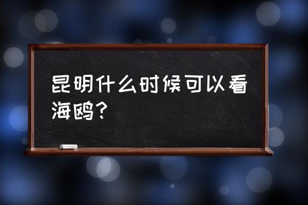 昆明观鸟最佳时间地点 昆明什么时候可以看海鸥？