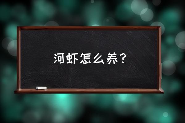 河虾的正确养法 河虾怎么养？