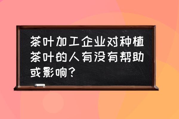 茶叶种植及加工行业前景 茶叶加工企业对种植茶叶的人有没有帮助或影响？