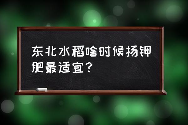 水稻生长过程中什么时候施钾肥 东北水稻啥时候扬钾肥最适宜？