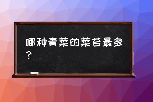 什么菜苔种子最好 哪种青菜的菜苔最多？