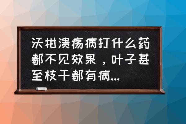 树干溃疡病用什么药 沃柑溃疡病打什么药都不见效果，叶子甚至枝干都有病。到底有没有杀溃疡病的药？