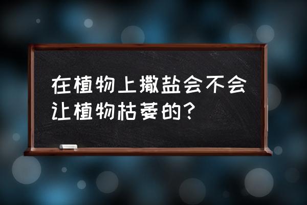 土壤盐害及降解办法 在植物上撒盐会不会让植物枯萎的？