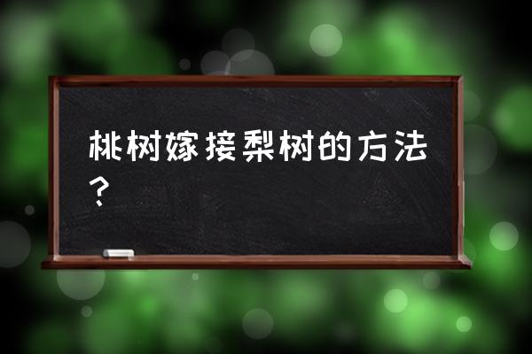 桃树嫁接橘子树 桃树嫁接梨树的方法？