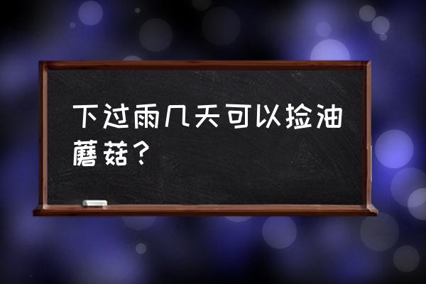 蘑菇下雨后多长时间能出来 下过雨几天可以捡油蘑菇？