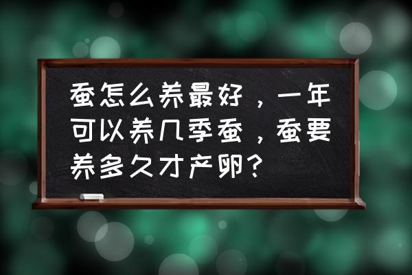 蚕一般在几月份养最好 蚕怎么养最好，一年可以养几季蚕，蚕要养多久才产卵？