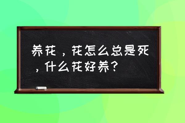 地里的花生长慢怎么办 养花，花怎么总是死，什么花好养？