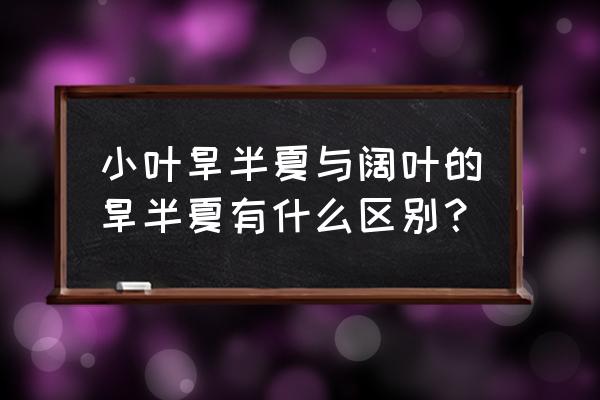 中药鉴定学半夏与水半夏的区别 小叶旱半夏与阔叶的旱半夏有什么区别？