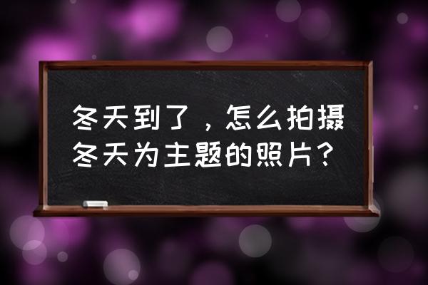 秋天花草树木怎么拍好看 冬天到了，怎么拍摄冬天为主题的照片？