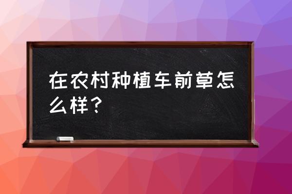 车前草的种子如何采集和如何播种 在农村种植车前草怎么样？