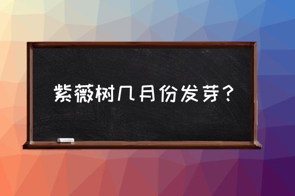 百日红移栽最佳时间和方法 紫薇树几月份发芽？