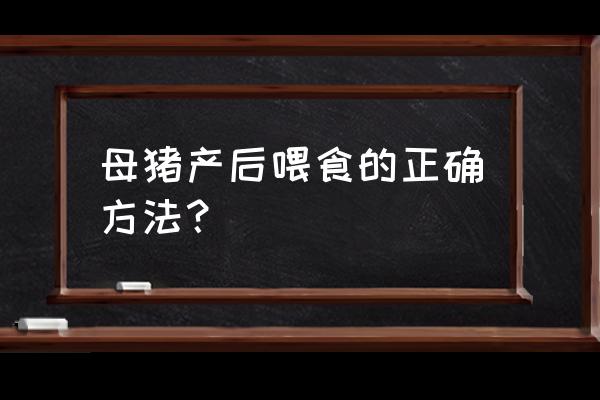 母猪产后三天饲养方法 母猪产后喂食的正确方法？