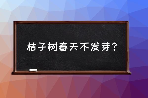 橘子妆教程初春 桔子树春天不发芽？