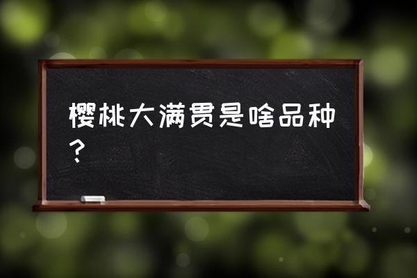 目前最好的樱桃品种排名 樱桃大满贯是啥品种？