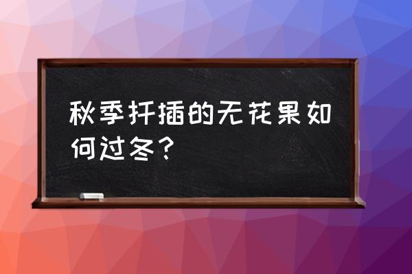 无花果树怎样过冬在室内还是室外 秋季扦插的无花果如何过冬？