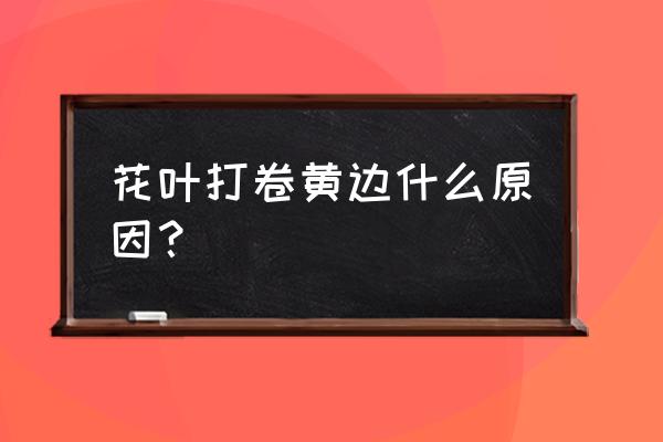 柑橘黄叶卷叶用什么药好 花叶打卷黄边什么原因？