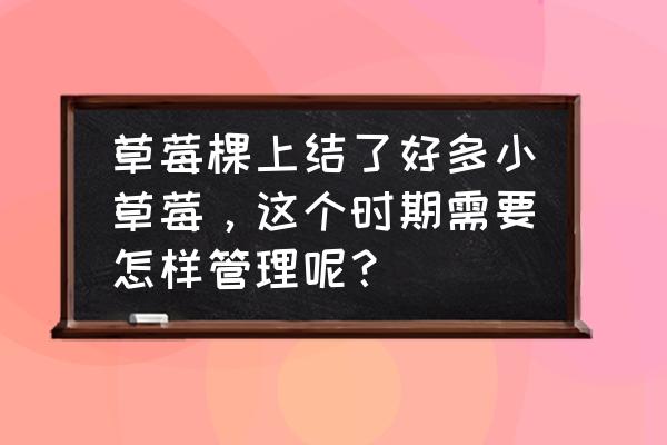 草莓一年可以结几次果 草莓棵上结了好多小草莓，这个时期需要怎样管理呢？