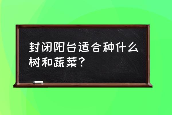 封闭阳台种黄瓜方法 封闭阳台适合种什么树和蔬菜？