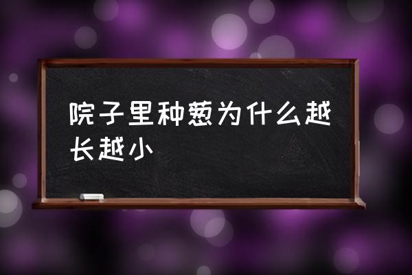 怎样在家自己种葱 院子里种葱为什么越长越小