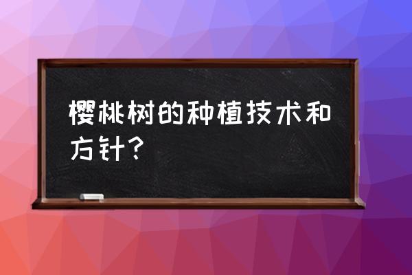 樱桃树怎么栽种 樱桃树的种植技术和方针？