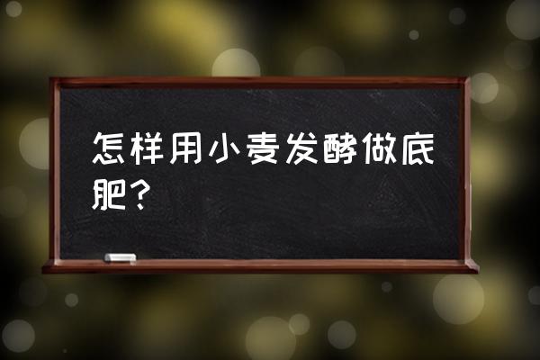 小麦分期app 怎样用小麦发酵做底肥？