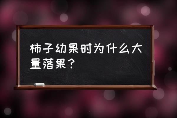 柿子树怎么才能不让落果 柿子幼果时为什么大量落果？