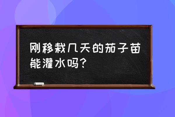 手机三农通怎么开通 刚移栽几天的茄子苗能灌水吗？