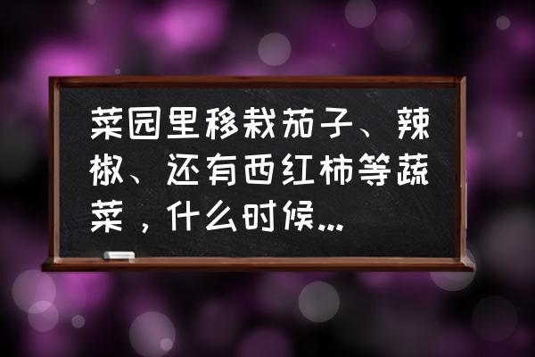 种菜怎么施肥效果最好 菜园里移栽茄子、辣椒、还有西红柿等蔬菜，什么时候施肥合适？为什么？